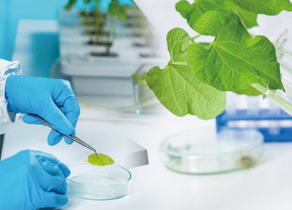 科研創(chuàng)新平臺(tái)